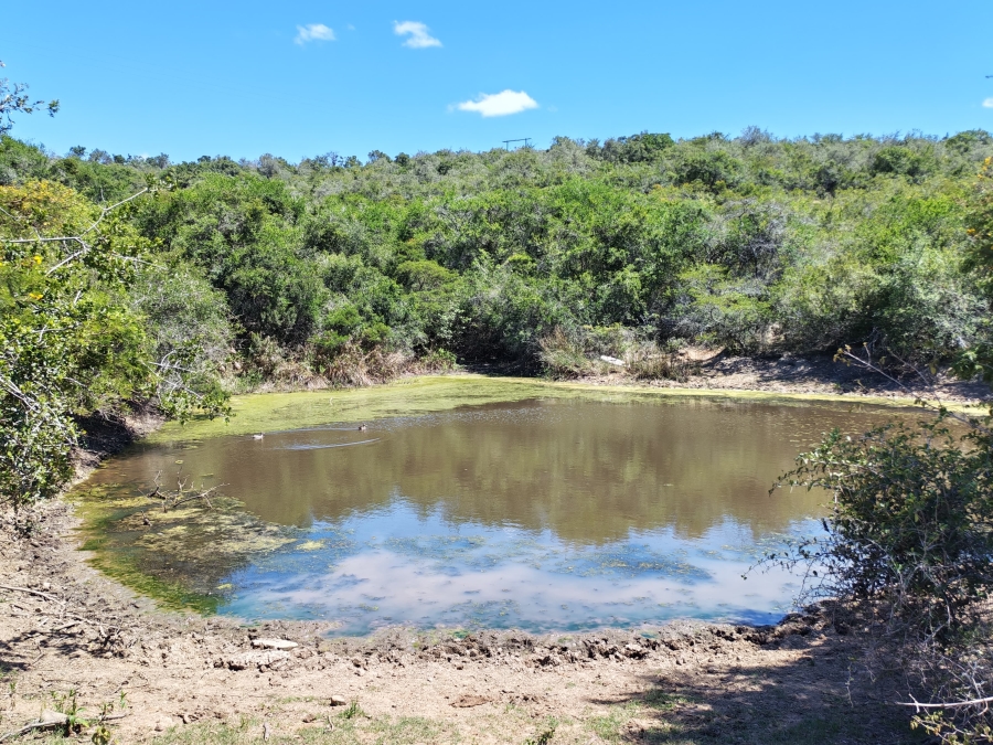 3 Bedroom Property for Sale in Komga Rural Eastern Cape